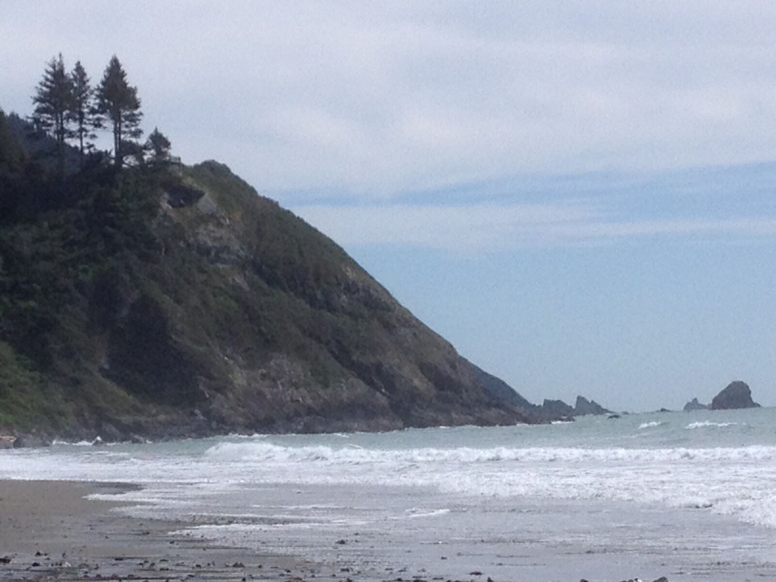 Apple iPhone 4S sample photo. Seashore, lone pines, low photography