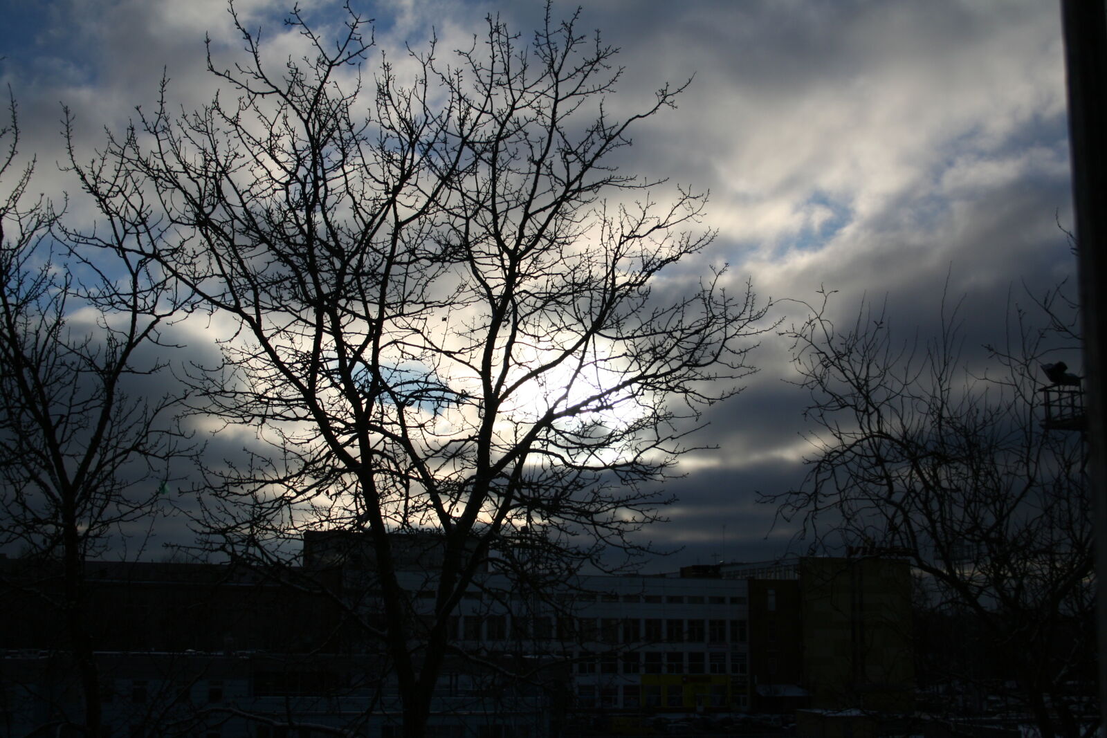Canon EOS 350D (EOS Digital Rebel XT / EOS Kiss Digital N) sample photo. Tree photography