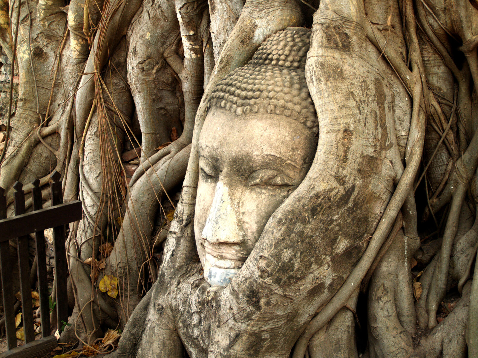 Olympus E-300 (EVOLT E-300) sample photo. Ancient, art, asia, asian photography
