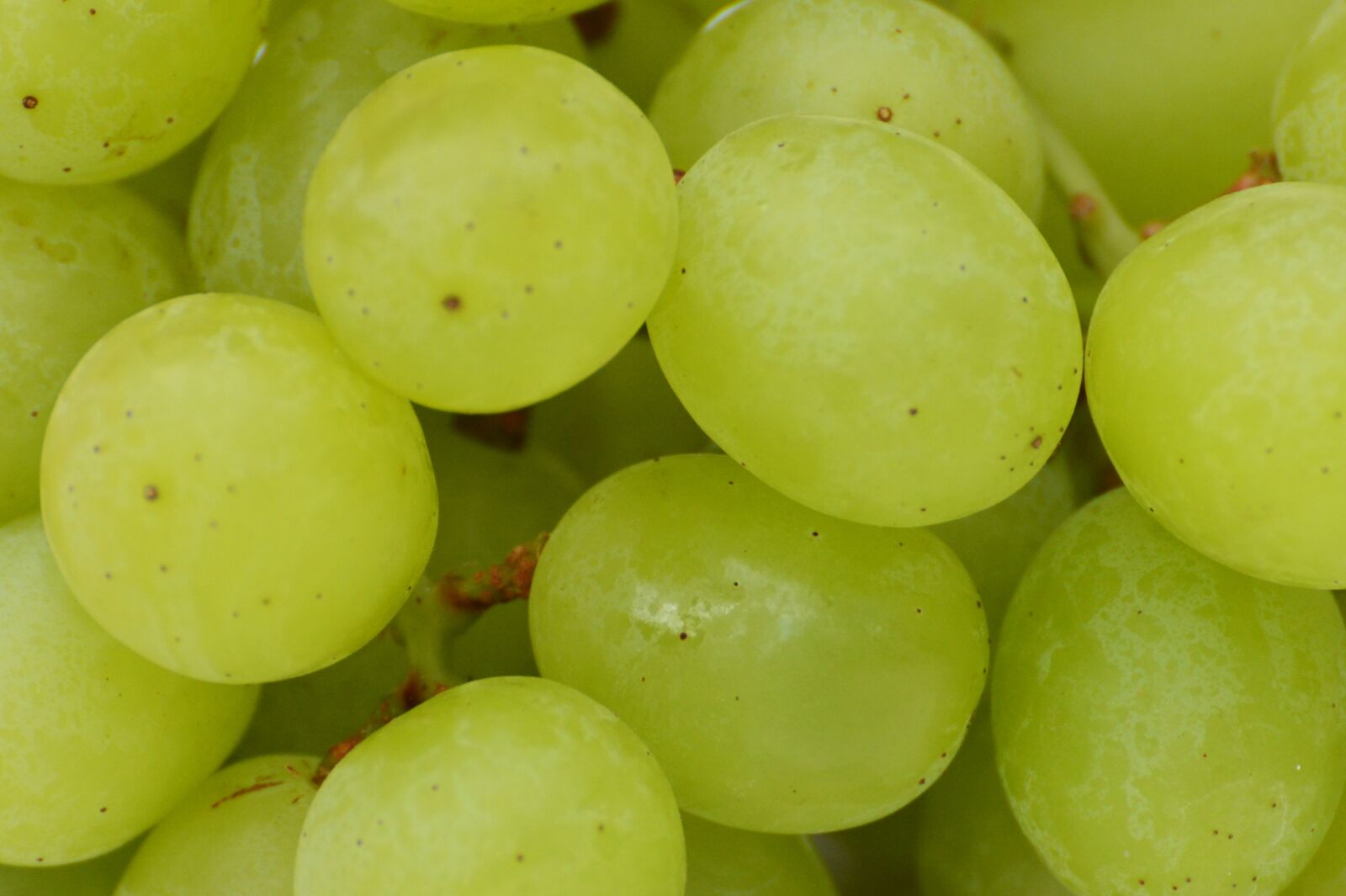 Nikon D3200 sample photo. Grapes, fruits, healthy photography
