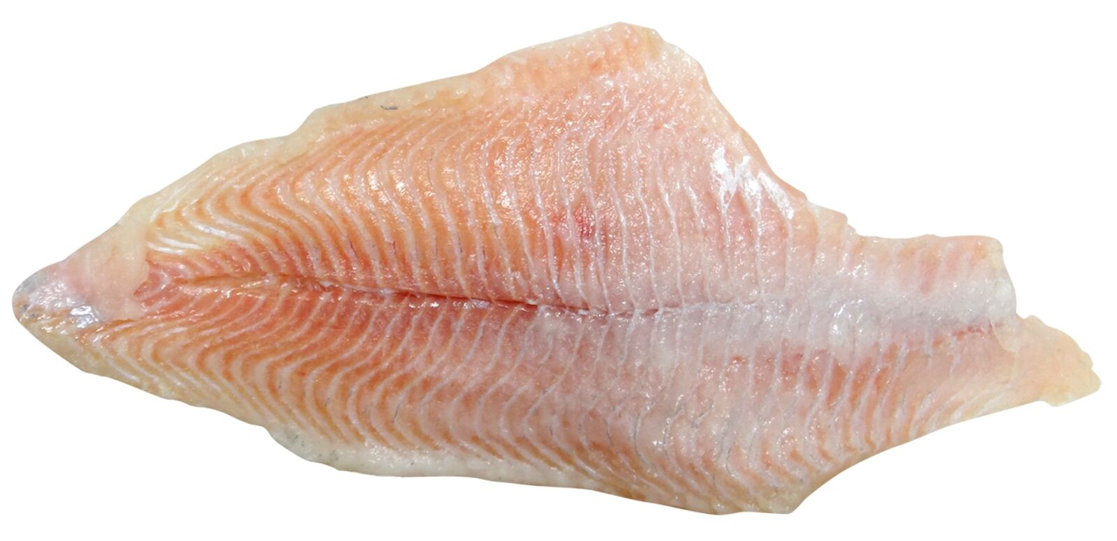 Sony Cyber-shot DSC-HX100V sample photo. Catfish, fish, fillet photography