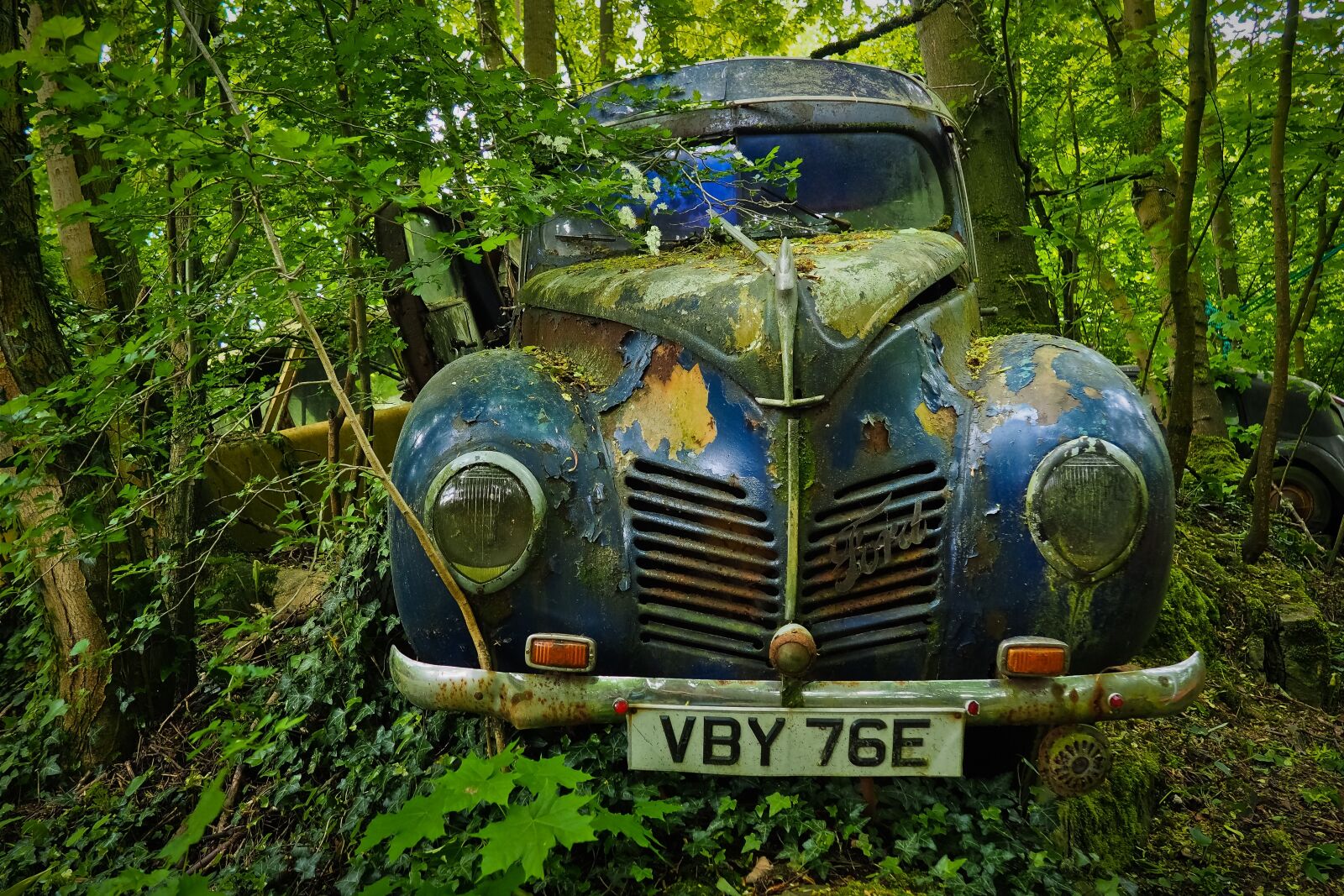 Olympus OM-D E-M10 sample photo. Auto, car cemetery, oldtimer photography