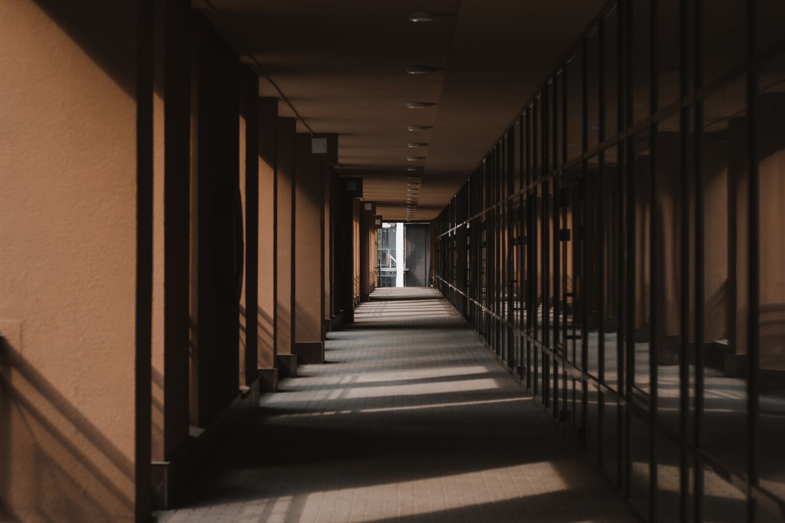 Canon EOS 60D + Canon EF 50mm F1.8 STM sample photo. Street, window, building photography