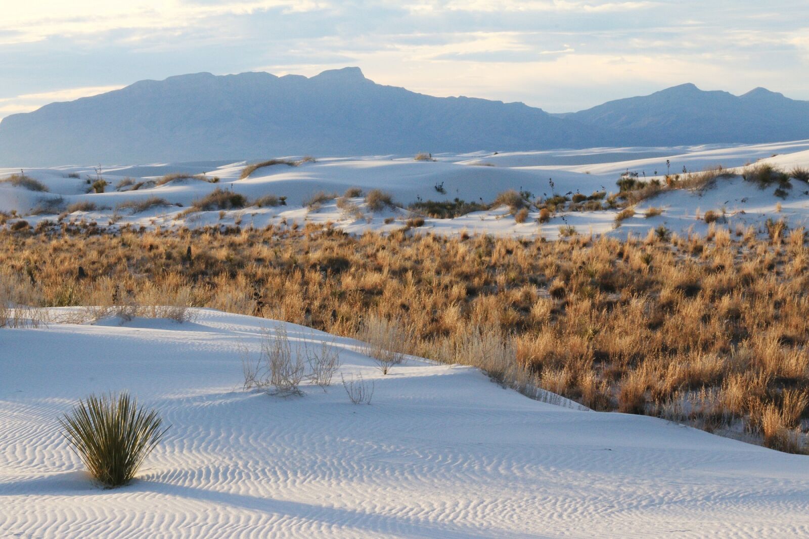 Canon EF 70-300mm F4-5.6 IS USM sample photo. Sand, white, grass photography