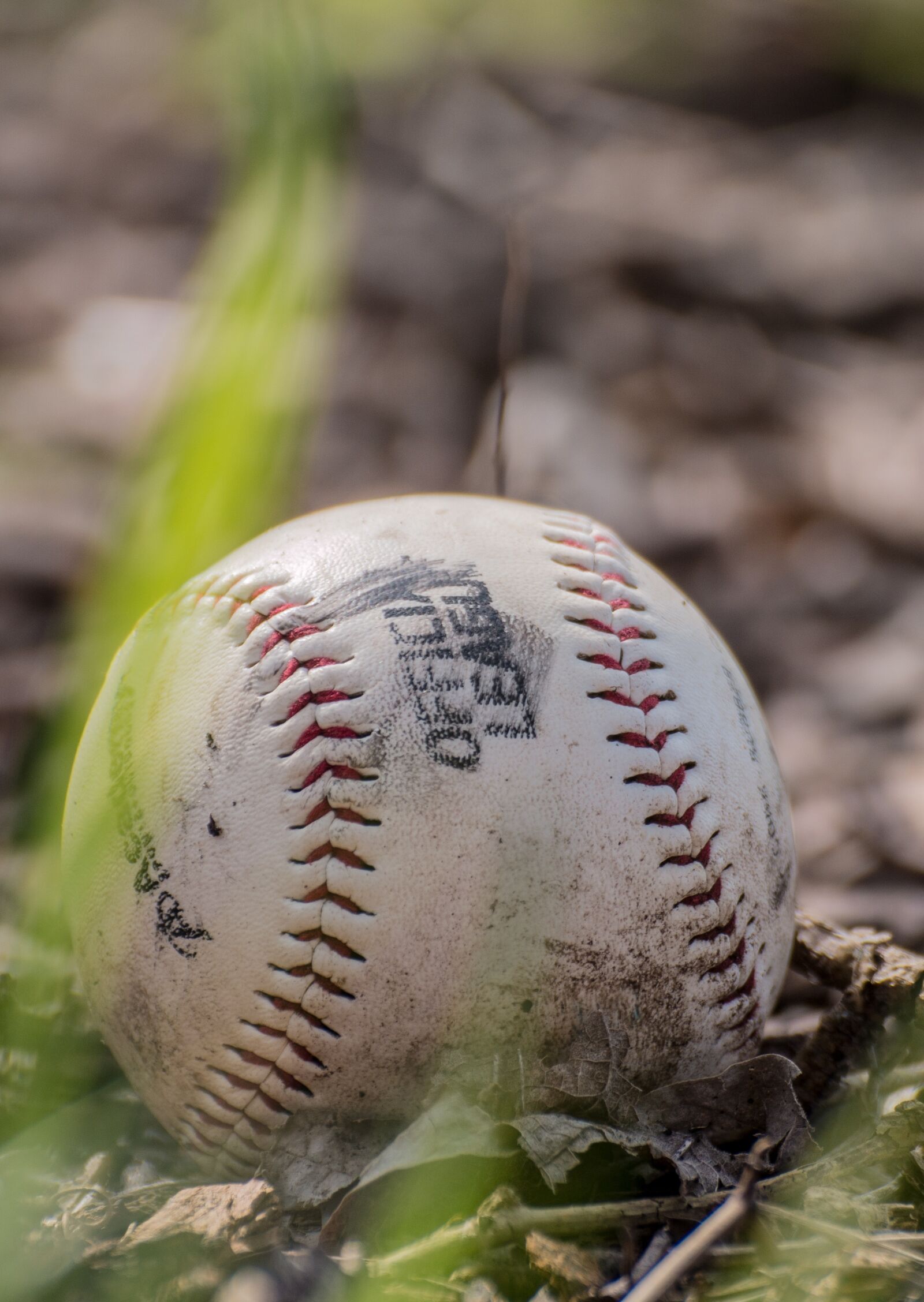 Canon EOS 70D sample photo. Baseball, leaves, autumn photography
