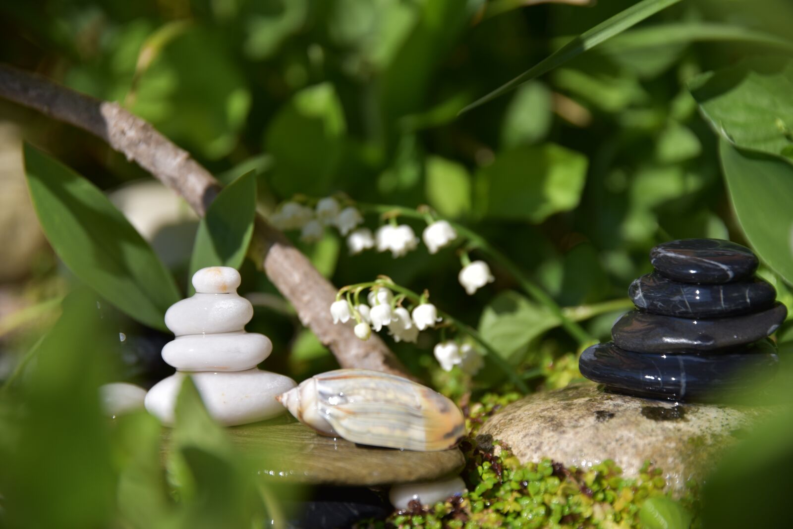 Nikon D750 sample photo. Cairn, stone, zen photography