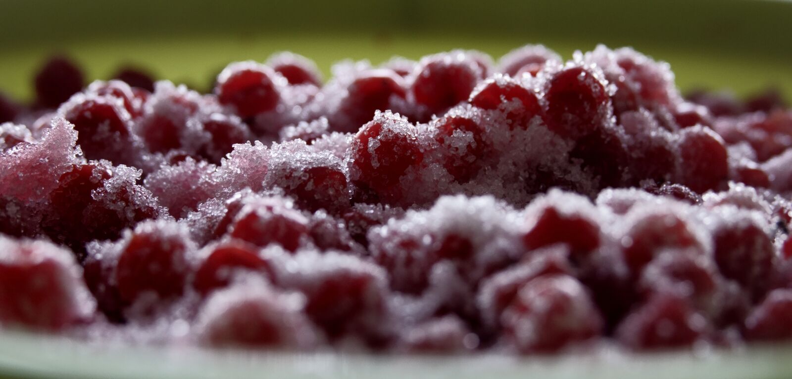 Sony Cyber-shot DSC-RX10 IV sample photo. Berry, viburnum, sugar photography