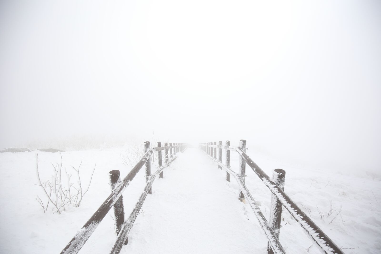 Canon EOS 6D + Canon EF 16-35mm F4L IS USM sample photo. Winter, snow, nature photography