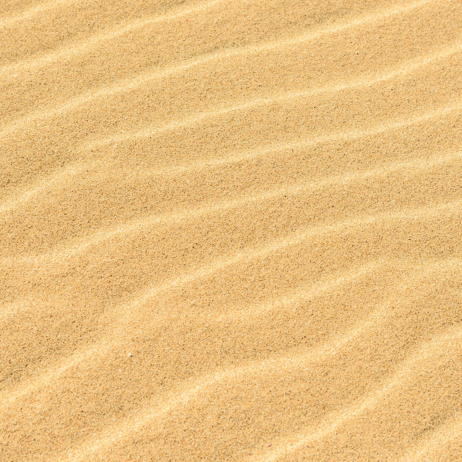 Nikon D800E sample photo. Sand, texture, dune photography
