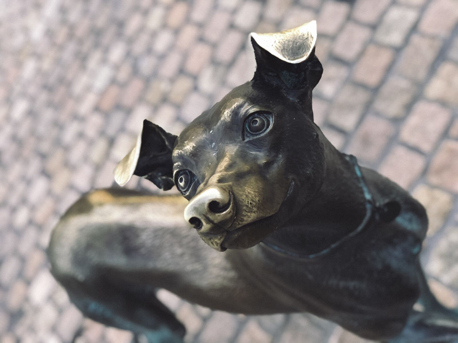 iPhone 8 Plus back dual camera 6.6mm f/2.8 sample photo. Dog, bronze, statue photography