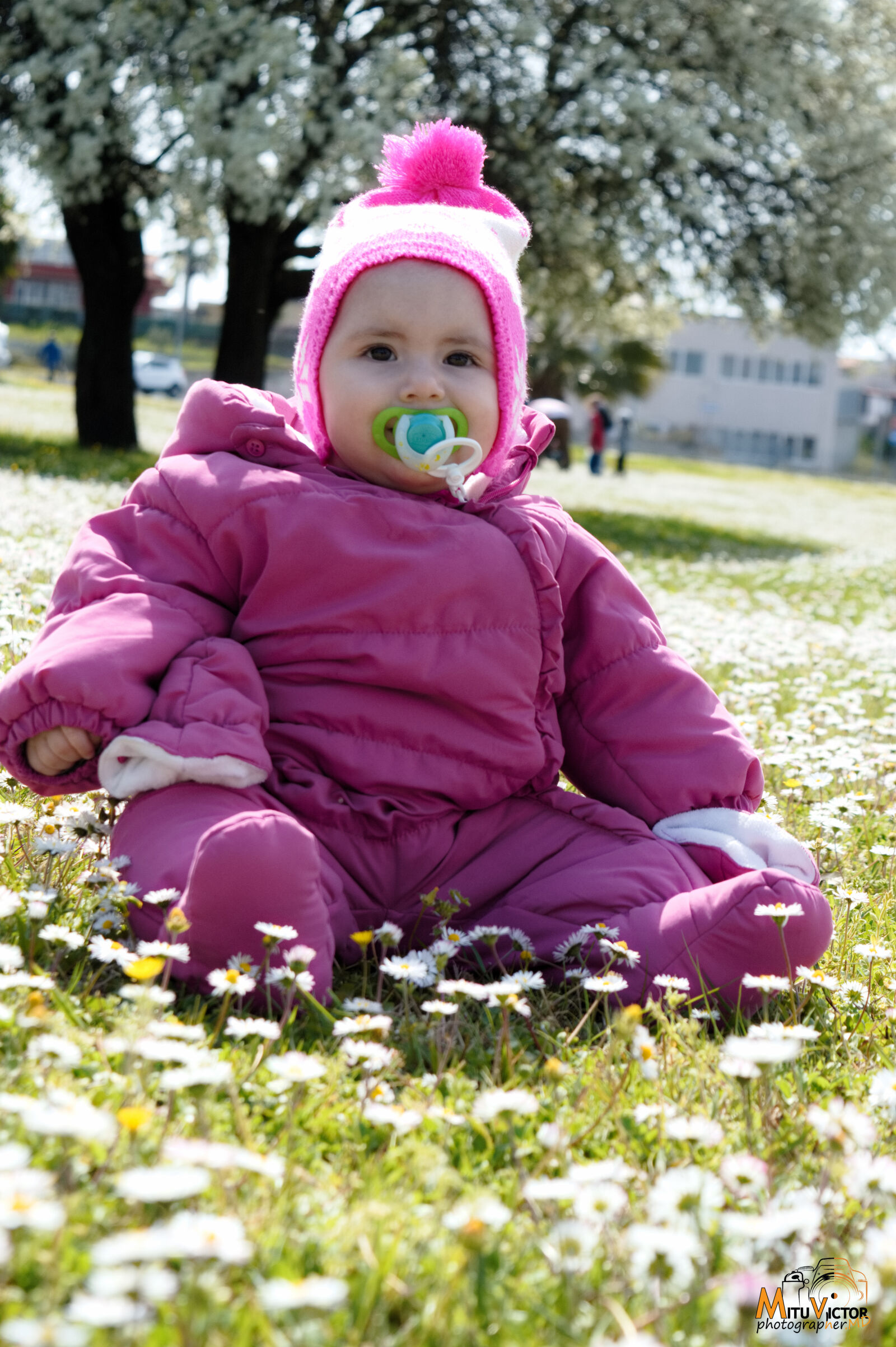 Nikon D3200 sample photo