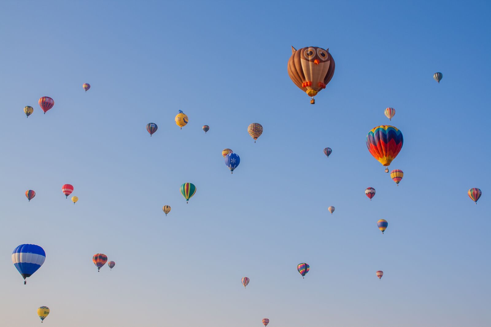 Canon EOS 1000D (EOS Digital Rebel XS / EOS Kiss F) sample photo. Balloon, hot air balloon photography