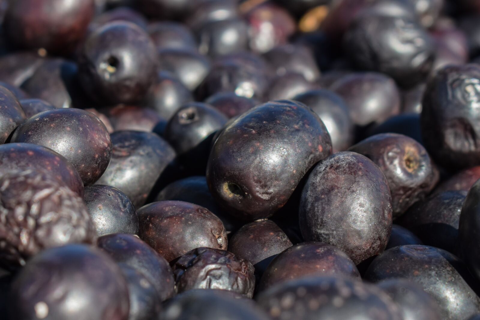 Nikon D3300 sample photo. Sun-dried olives, produce, food photography