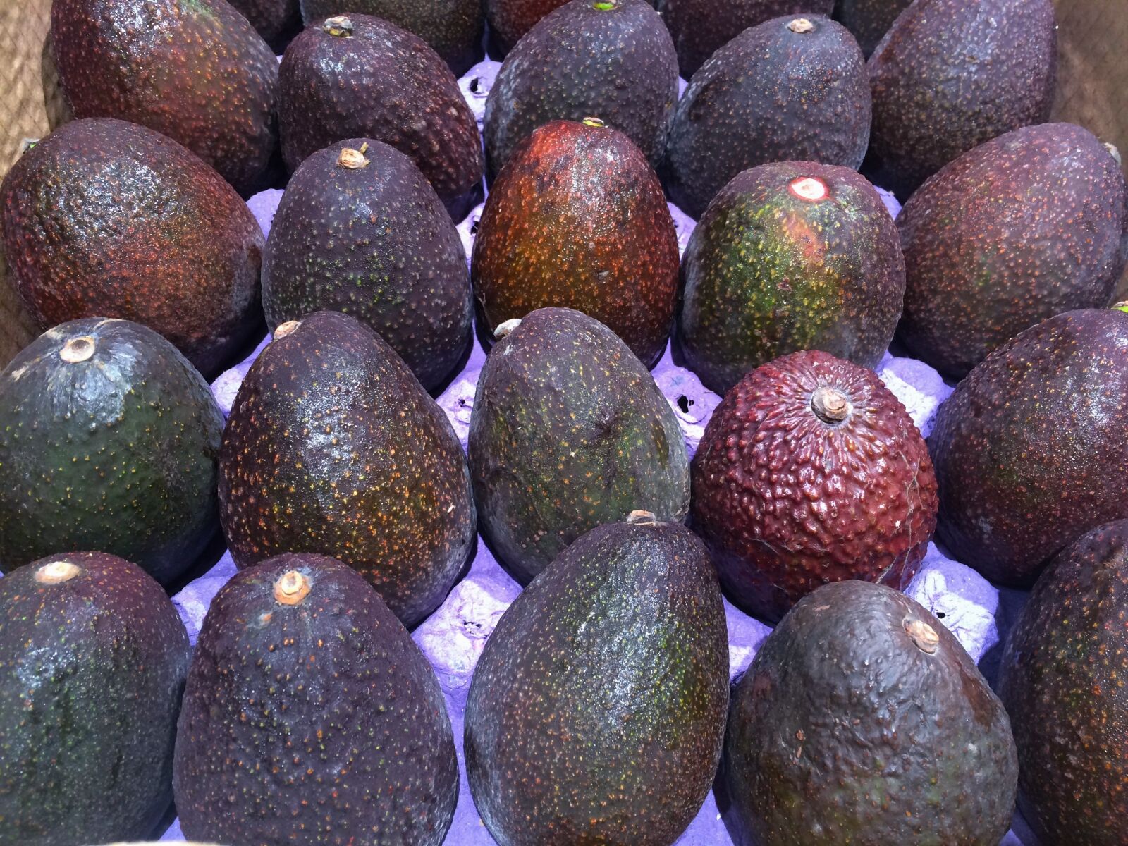 iPhone 5s back camera 4.15mm f/2.2 sample photo. Avocado, avogado, pile up photography