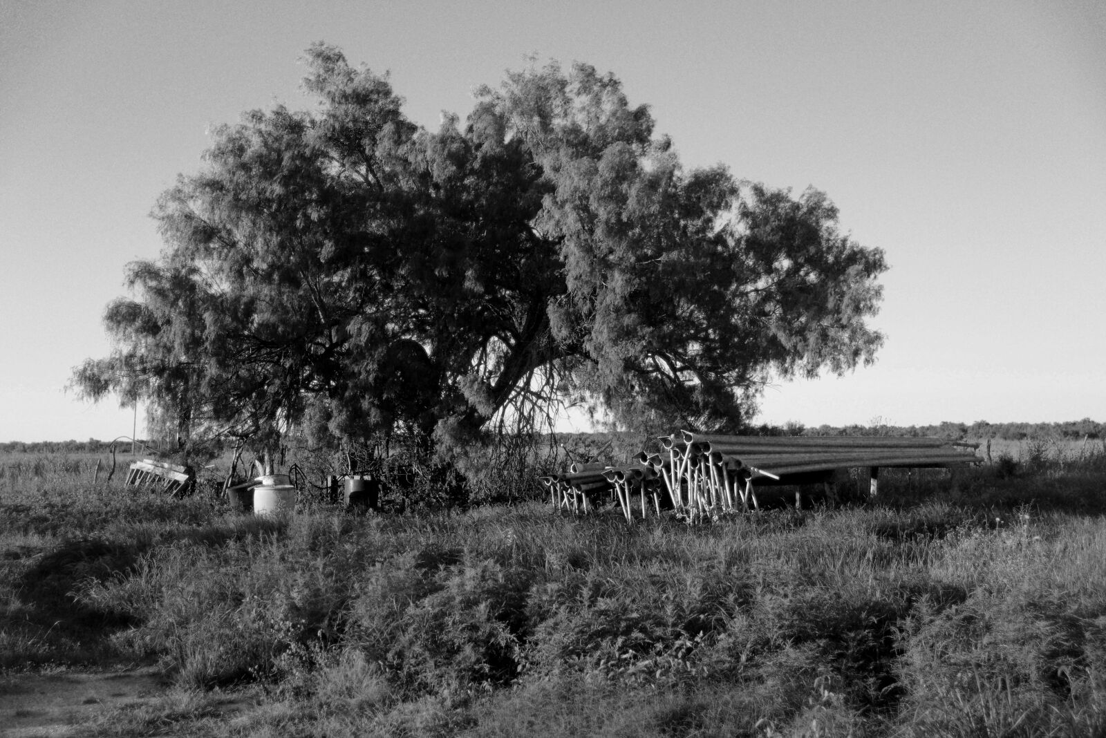 Nikon D600 sample photo. Black, and, white, farm photography