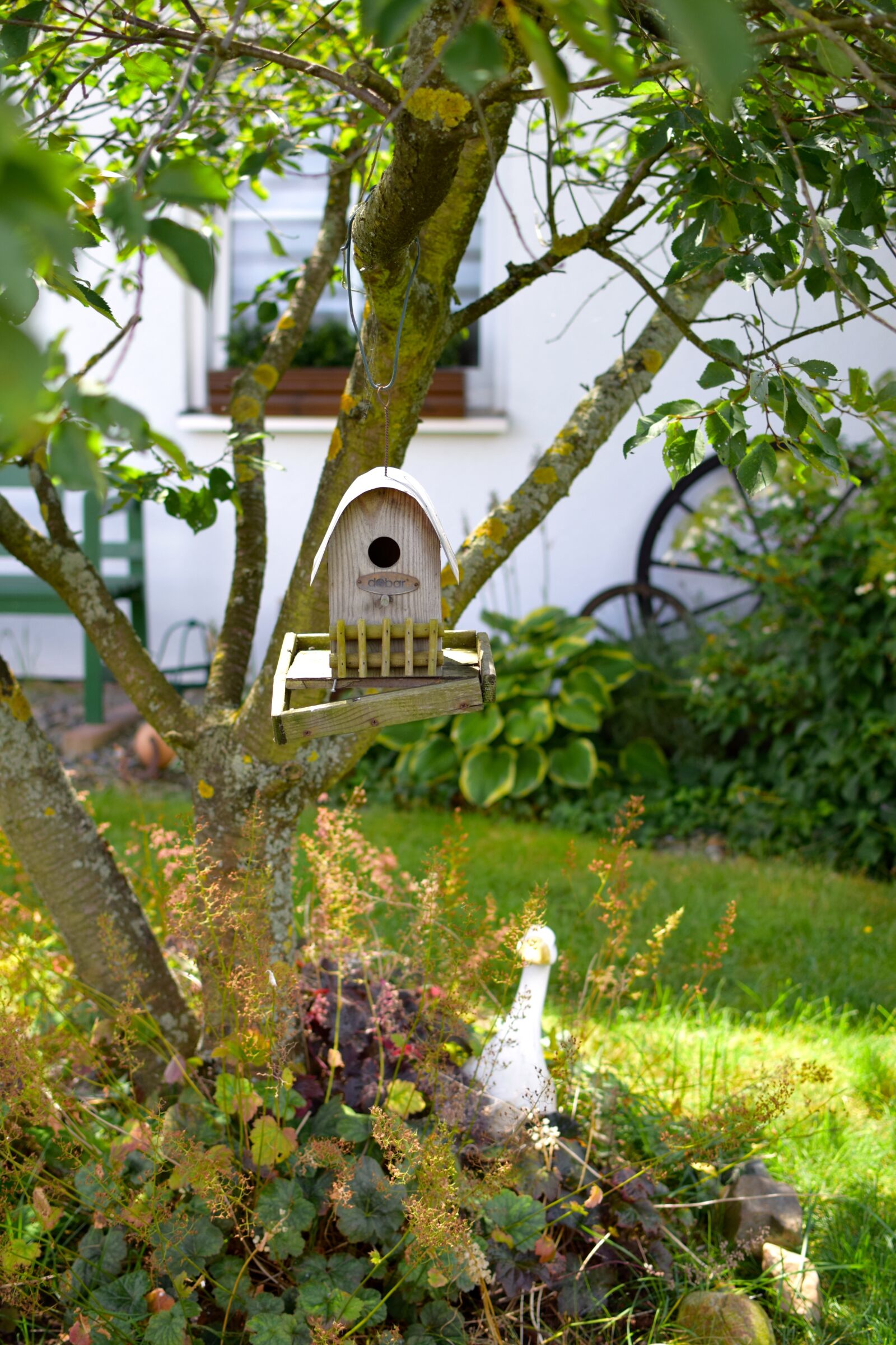 Nikon D5300 sample photo. Bird feeder, tree, feeding photography
