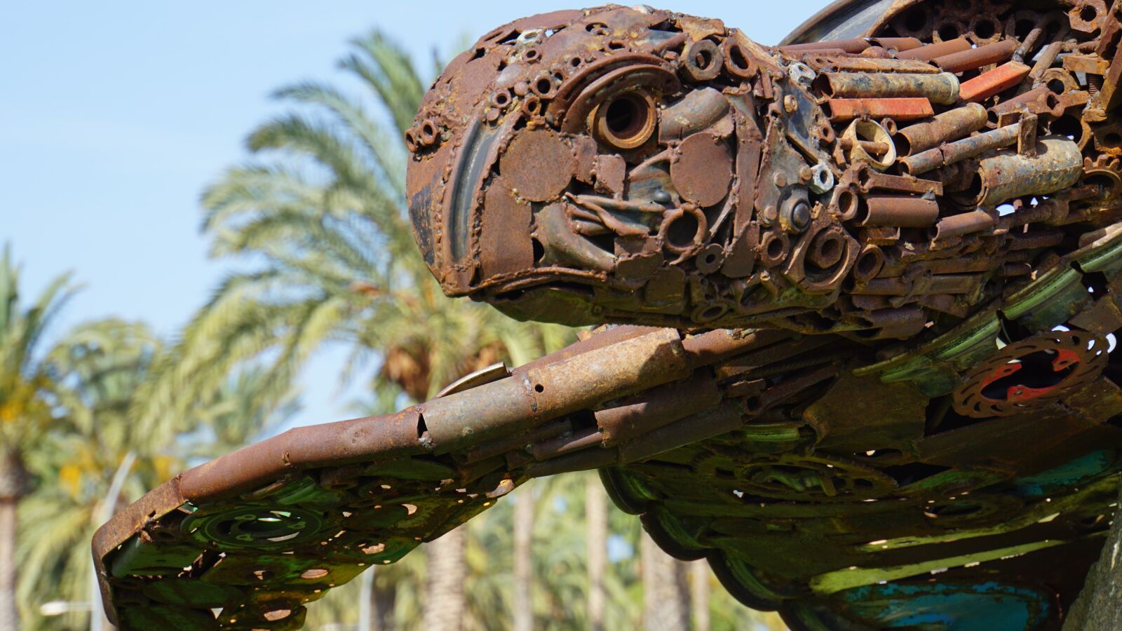 Sony E 18-200mm F3.5-6.3 OSS LE sample photo. Sculpture, art, turtle photography