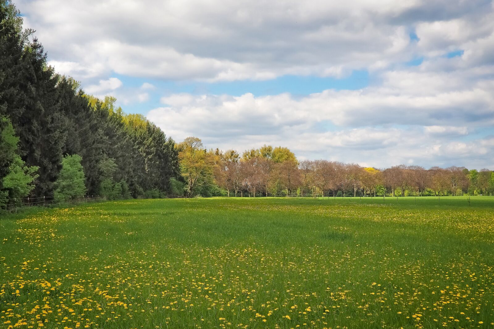 Olympus OM-D E-M10 sample photo. Landscape, meadow, nature photography