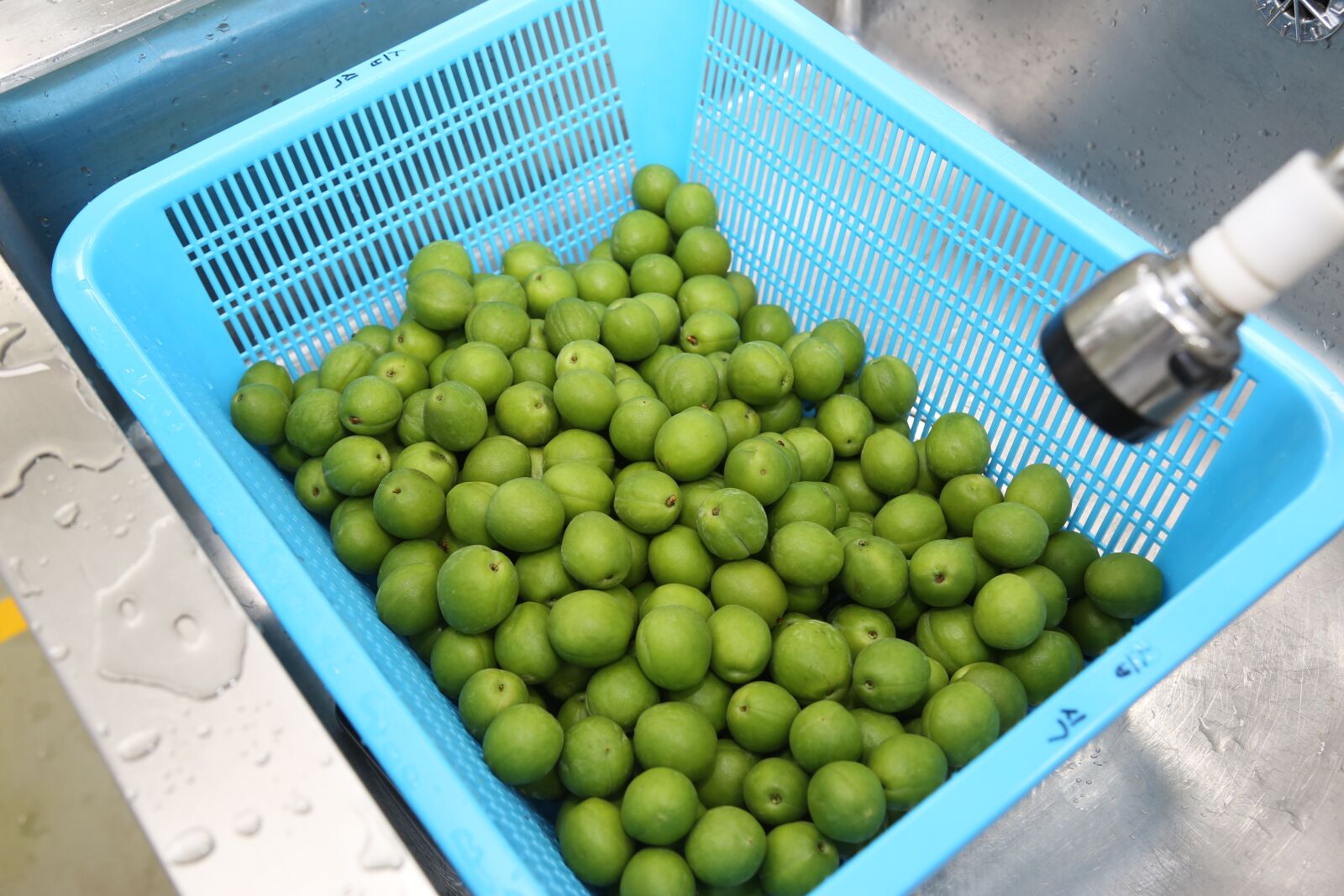 Canon EF 24-105mm F4L IS USM sample photo. Plum, processing, agricultural products photography