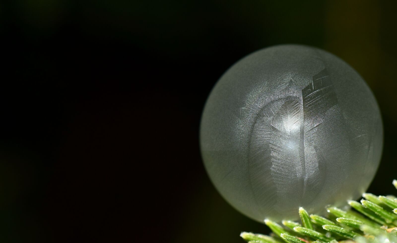 Nikon D3300 sample photo. Bubble, soap bubble, frozen photography