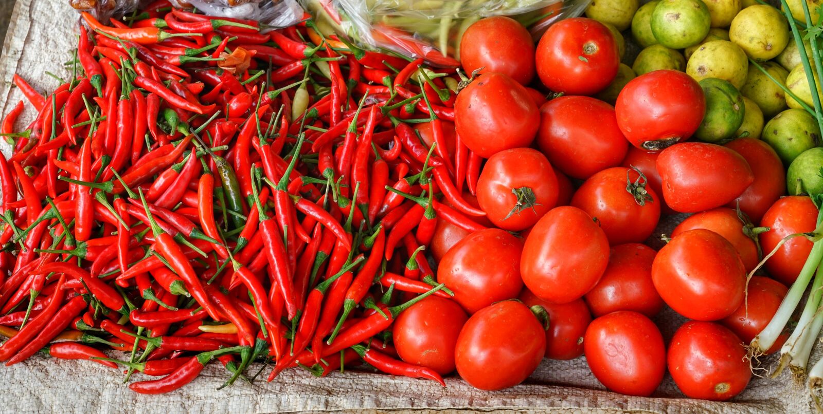 Sony a7R II + Sony FE 24-70mm F2.8 GM sample photo. Chillies, tomatoes, red photography