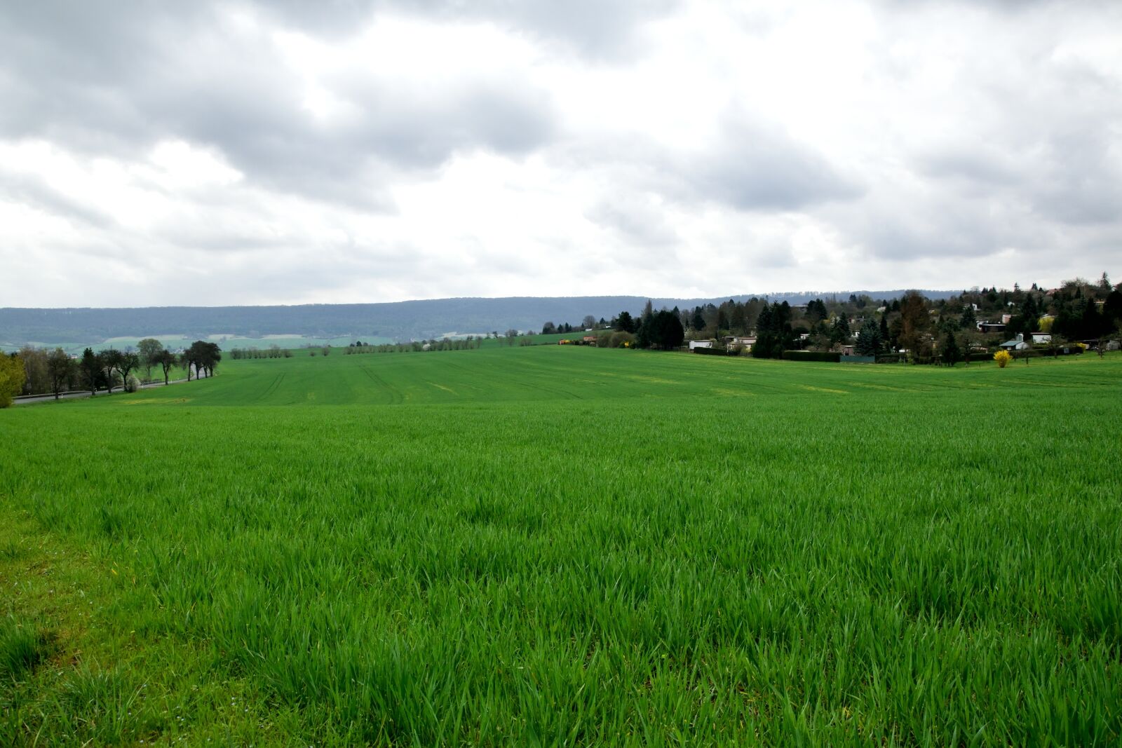 Nikon D3300 sample photo. Landscape, field, spring photography