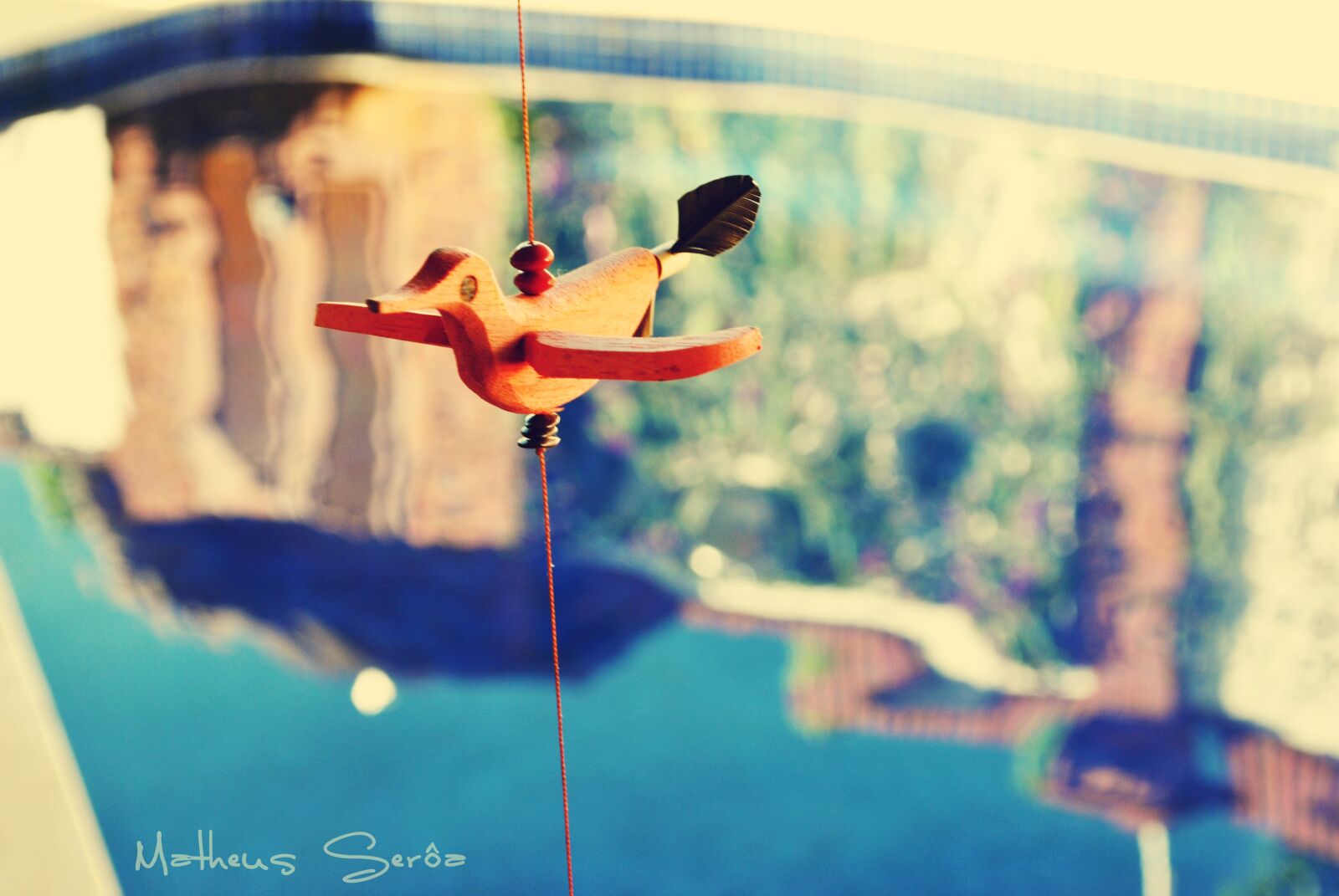 Nikon D3000 sample photo. Pool, garnish, bird photography