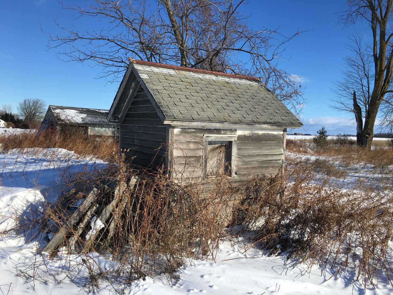 Apple iPhone 6s sample photo. Barn out building, farm photography