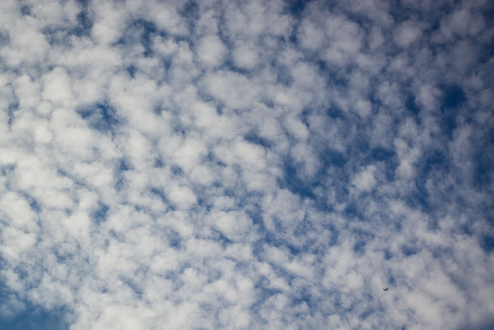 Canon EOS 600D (Rebel EOS T3i / EOS Kiss X5) + Canon EF 50mm F1.8 II sample photo. Clouds, sky, blue photography