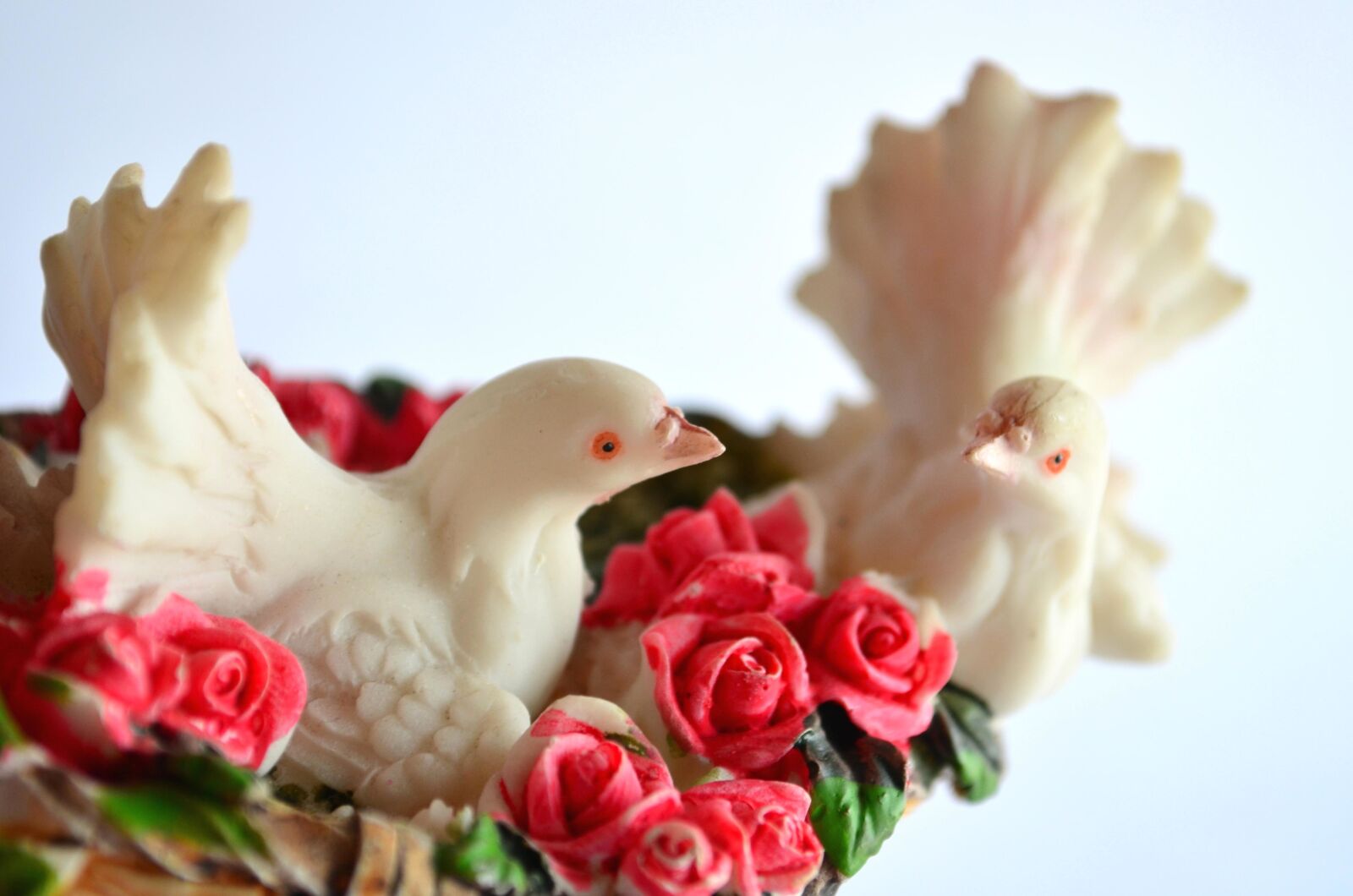 Nikon D5100 sample photo. Dove, bird, love, toy photography