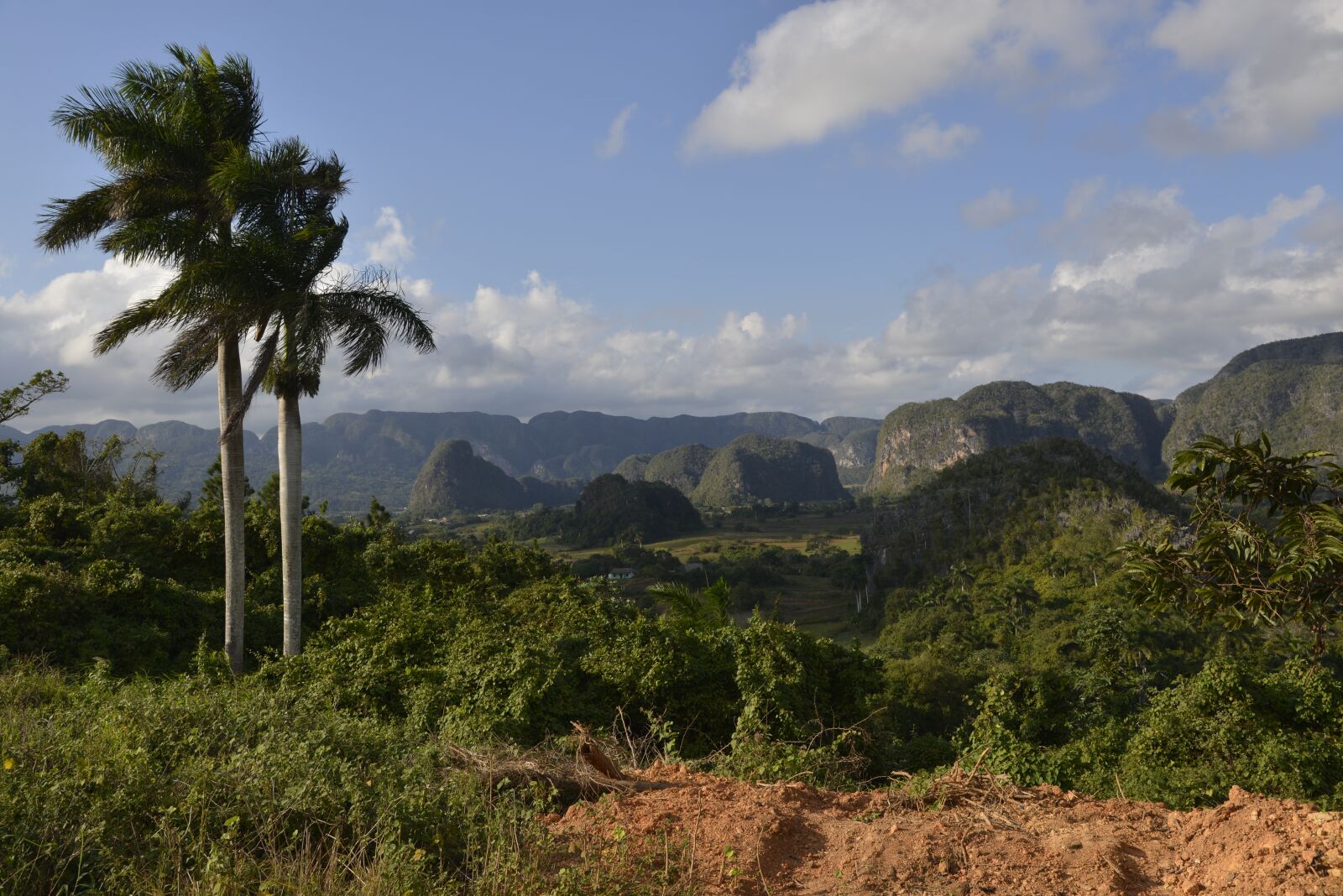 Nikon D600 sample photo. Cuba, vi ales valley photography