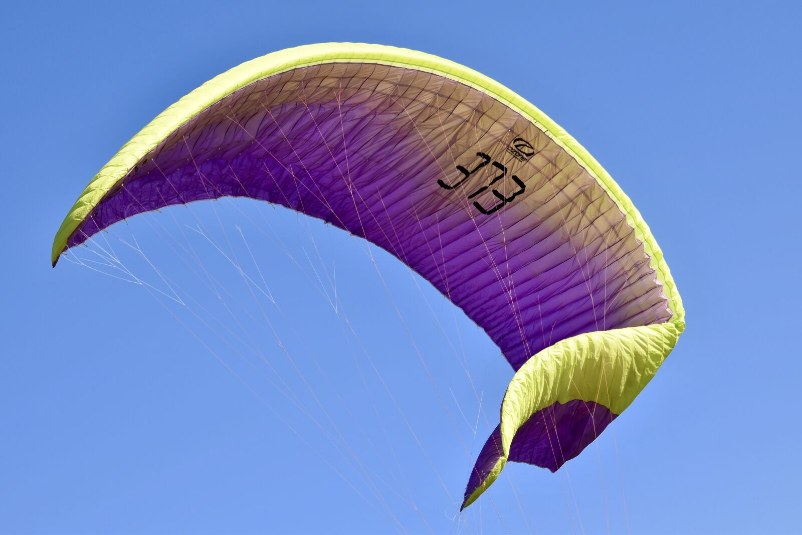 Nikon D5600 sample photo. Paragliding, sailing paragliding, wing photography