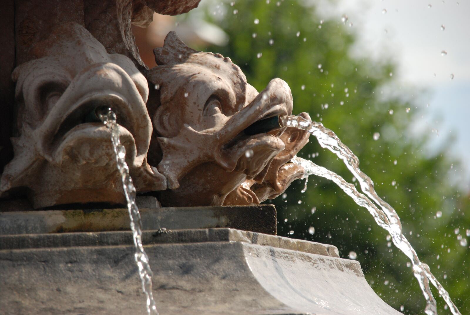 Nikon D80 sample photo. Image, fountain, fish photography