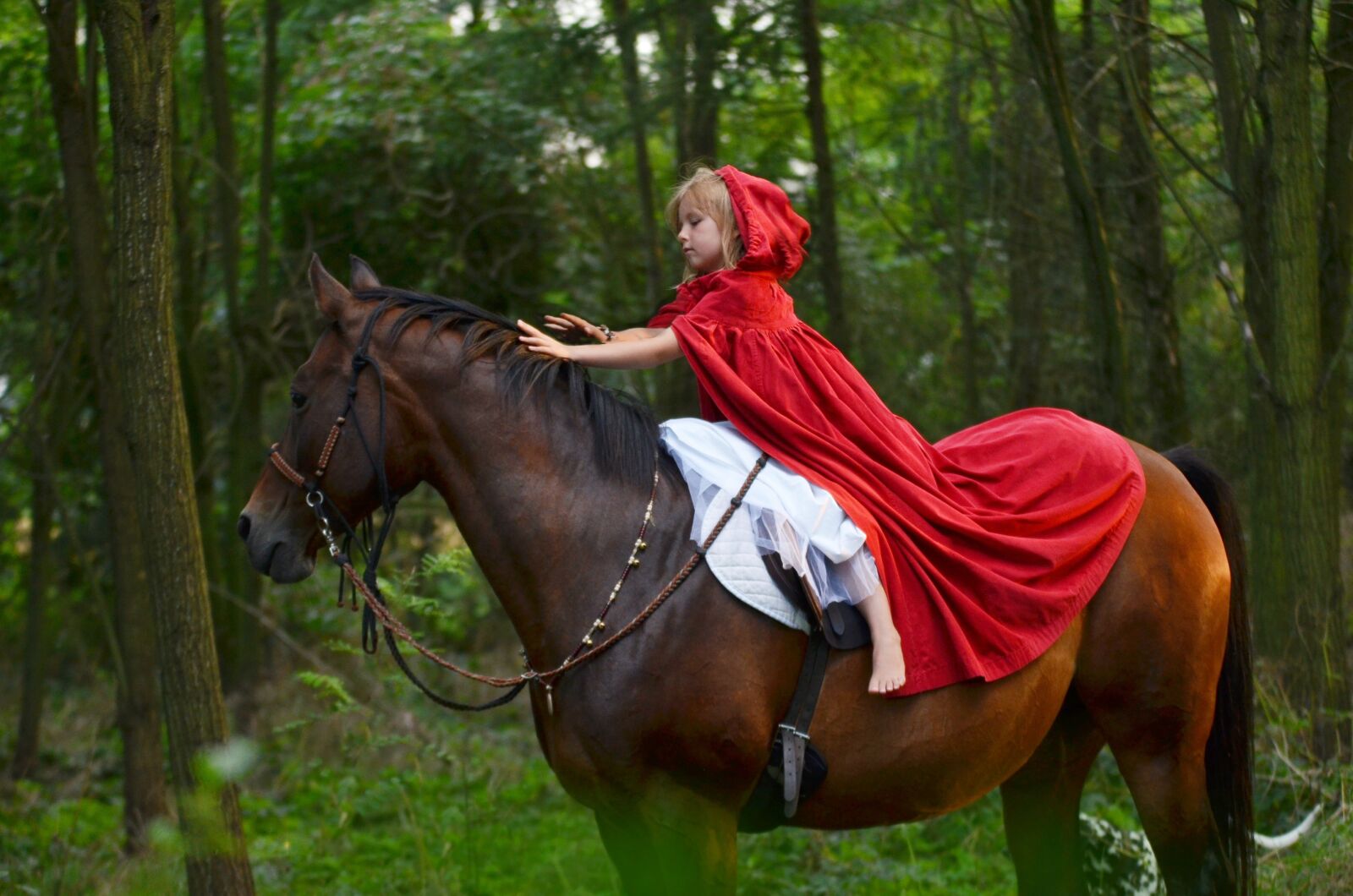 Nikon D5100 sample photo. Horse, nature, forest photography