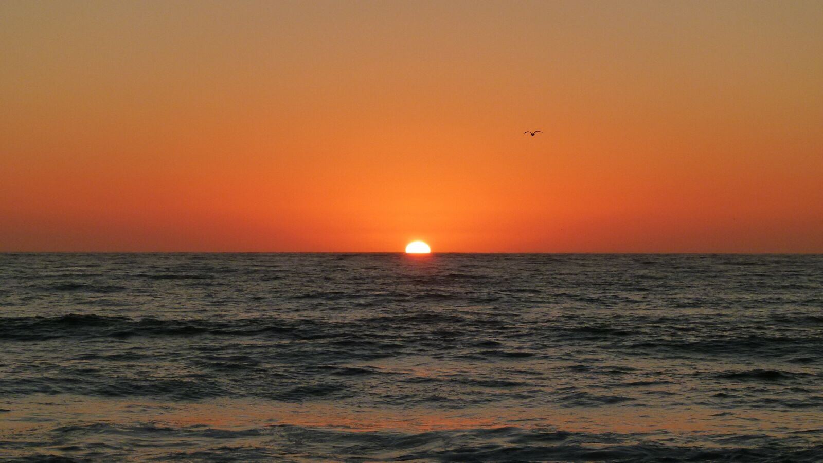 Panasonic Lumix DMC-FZ100 sample photo. Sunset, ocean beach, pacific photography