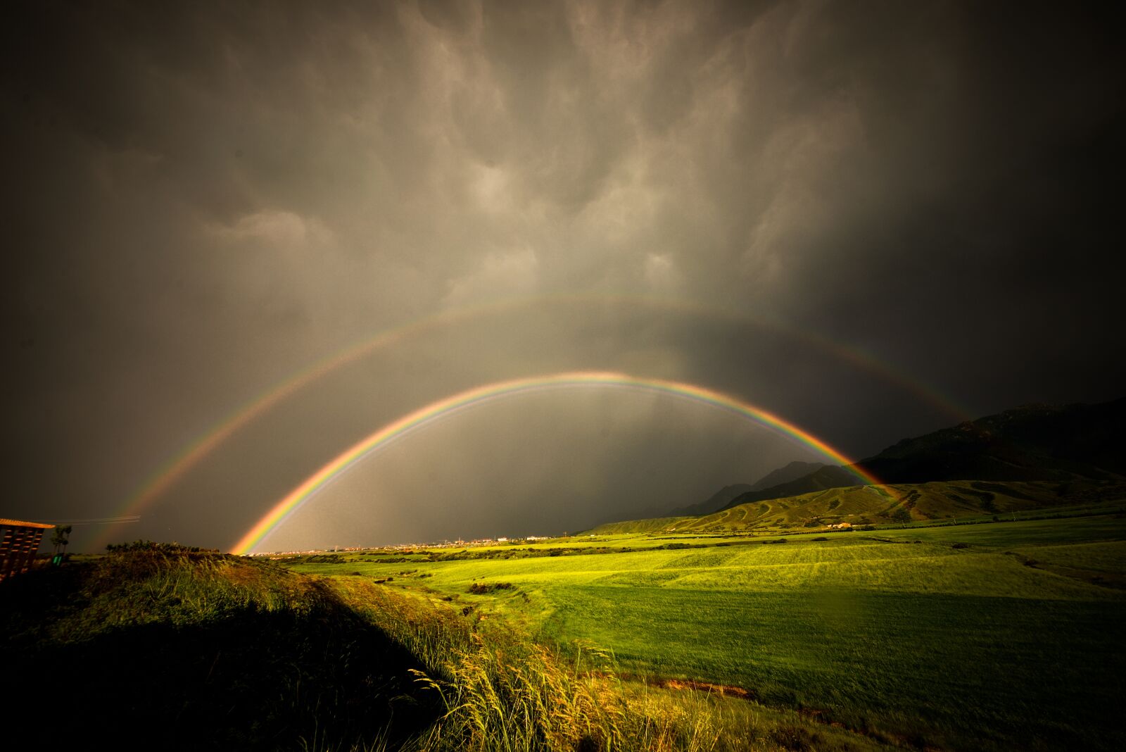 Nikon D610 sample photo. Rainbow, the wild, the photography