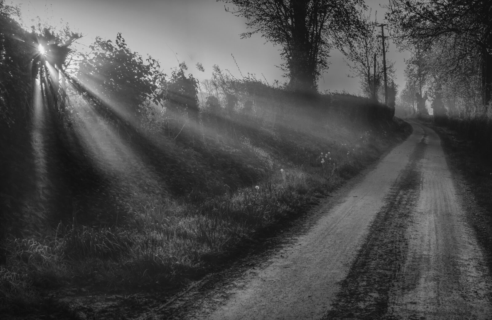 Canon EOS 700D (EOS Rebel T5i / EOS Kiss X7i) sample photo. Sunrise, morning, light photography