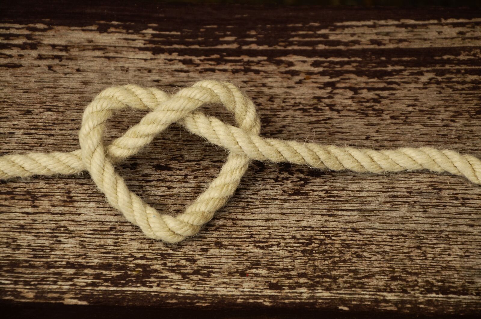 Nikon D5100 sample photo. Rope, cord, heart photography