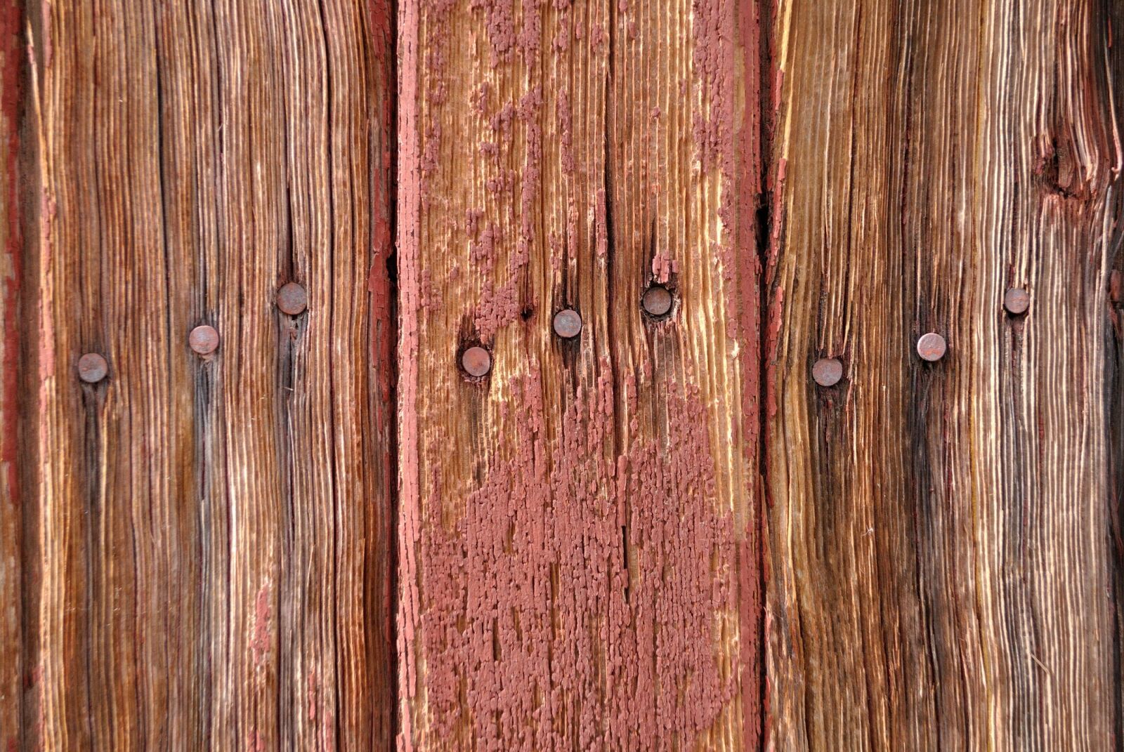 Nikon D3000 sample photo. Weathered, wood, rusty nails photography