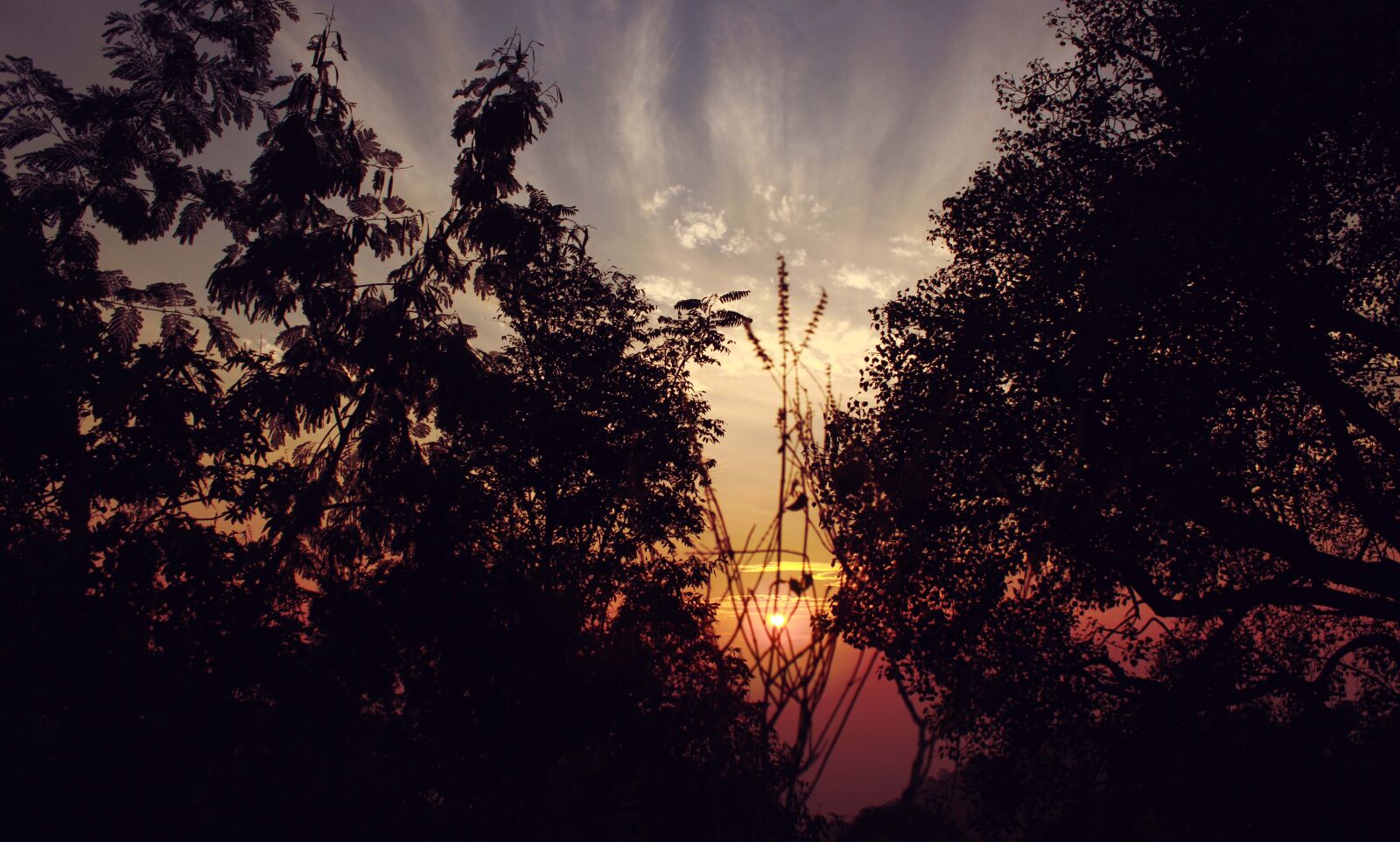 Canon EOS 700D (EOS Rebel T5i / EOS Kiss X7i) sample photo. Backlit, dark, dawn, dramatic photography