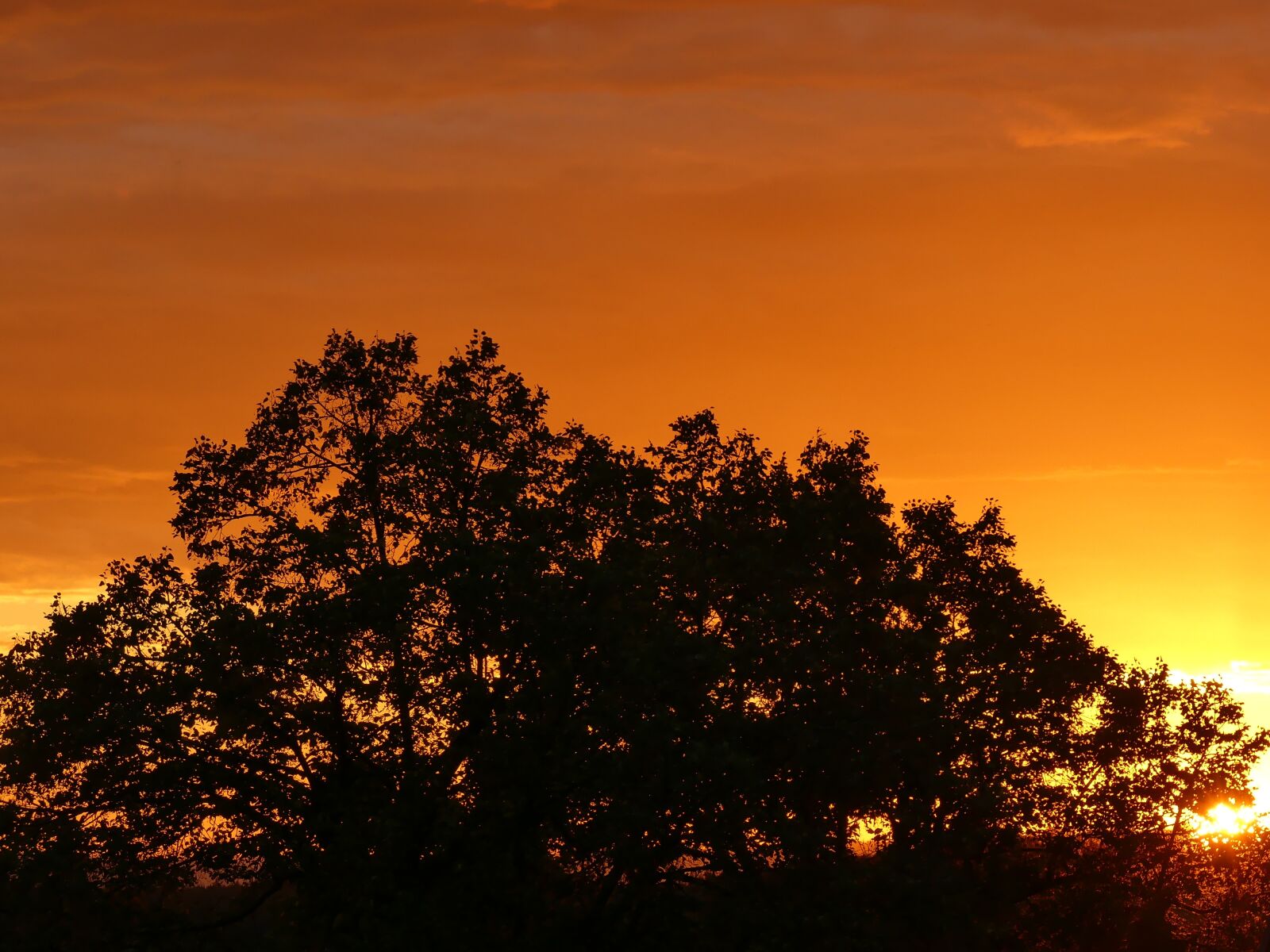 Panasonic Lumix DMC-FZ300 sample photo. Sunset, crown, orange photography