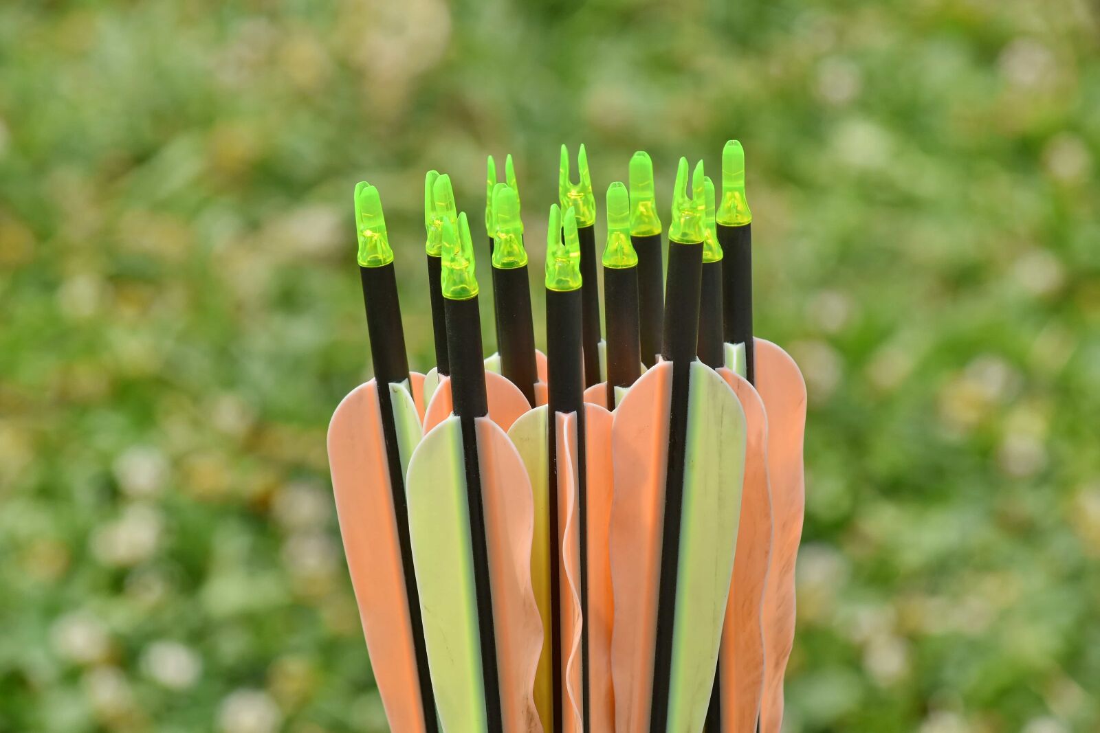 Nikon D5500 sample photo. Archery, arrow, arrowhead, detail photography