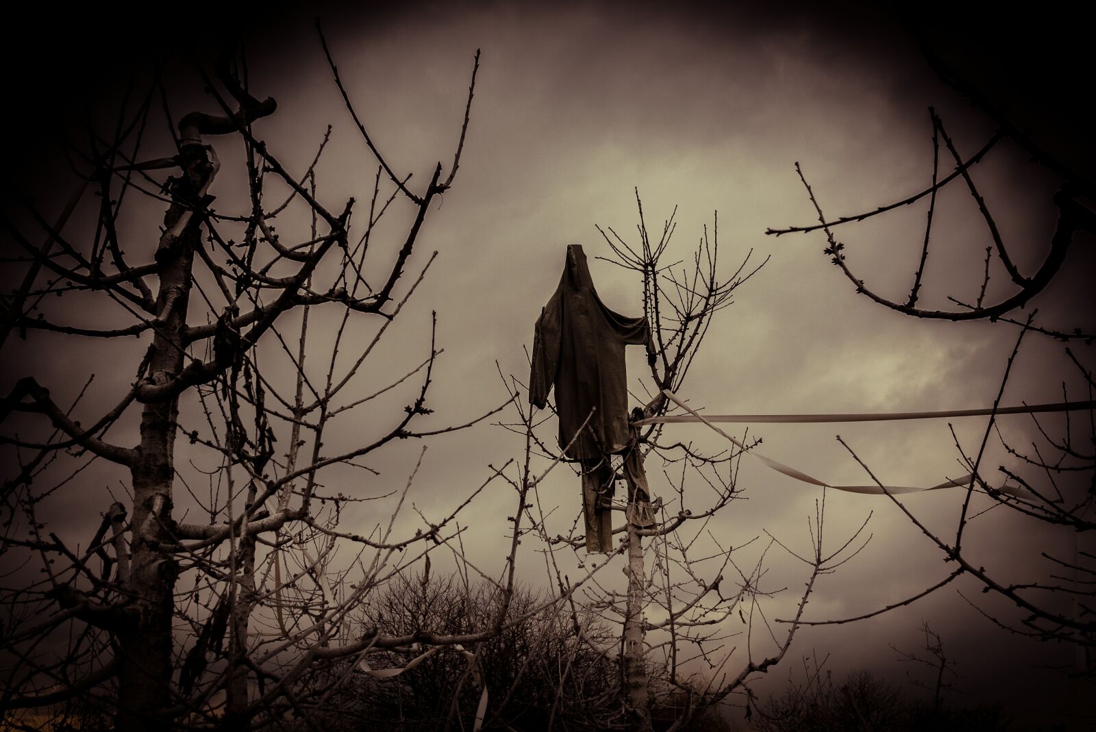 Panasonic Lumix DMC-GF3 sample photo. Scarecrow, horror, spooky photography