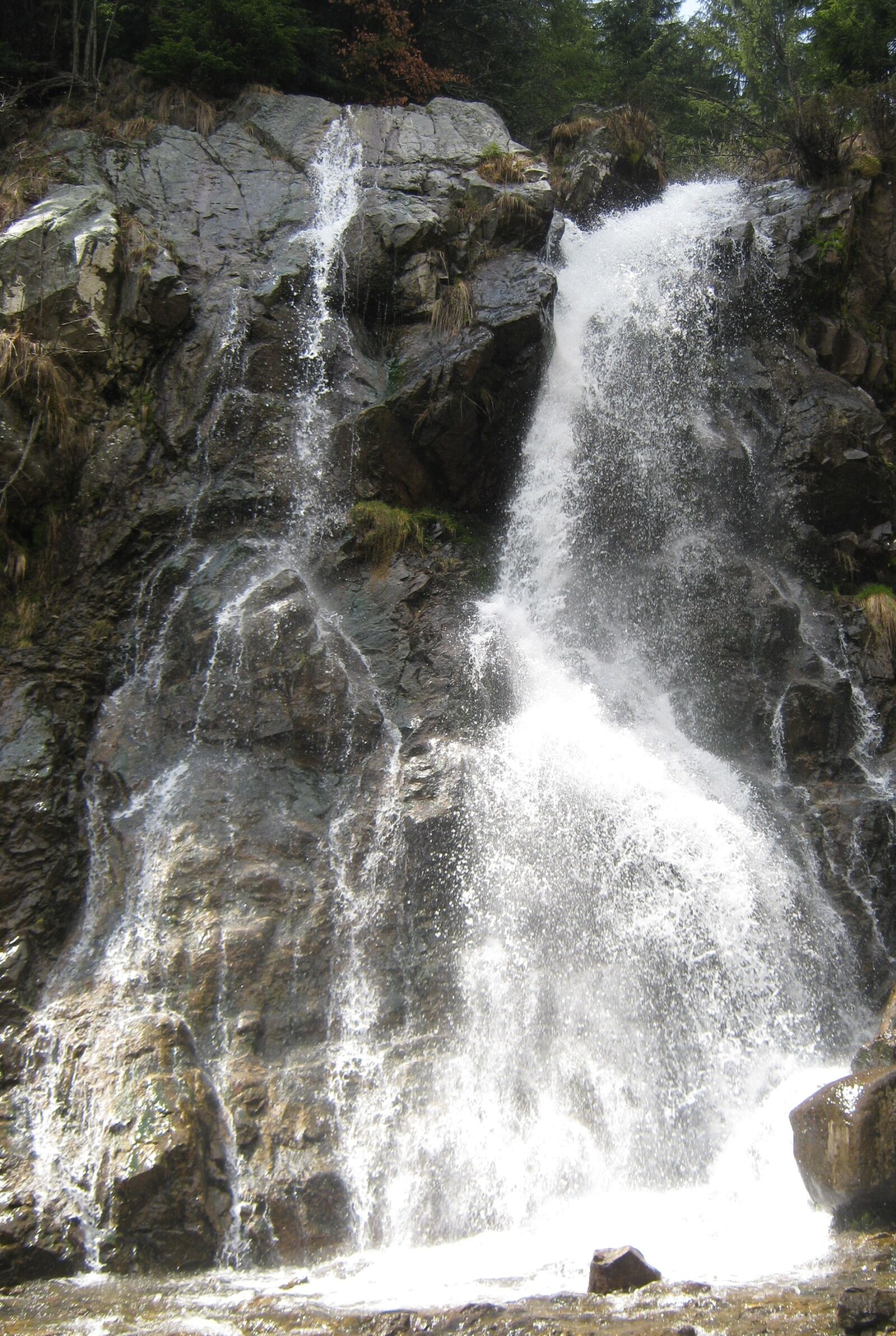 Canon PowerShot A480 sample photo. Cascada, waterfall mountains, waterfall photography