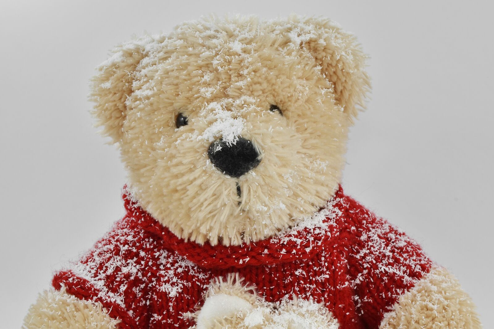 Nikon D5500 sample photo. Snow, snowflakes, sweater, teddy photography