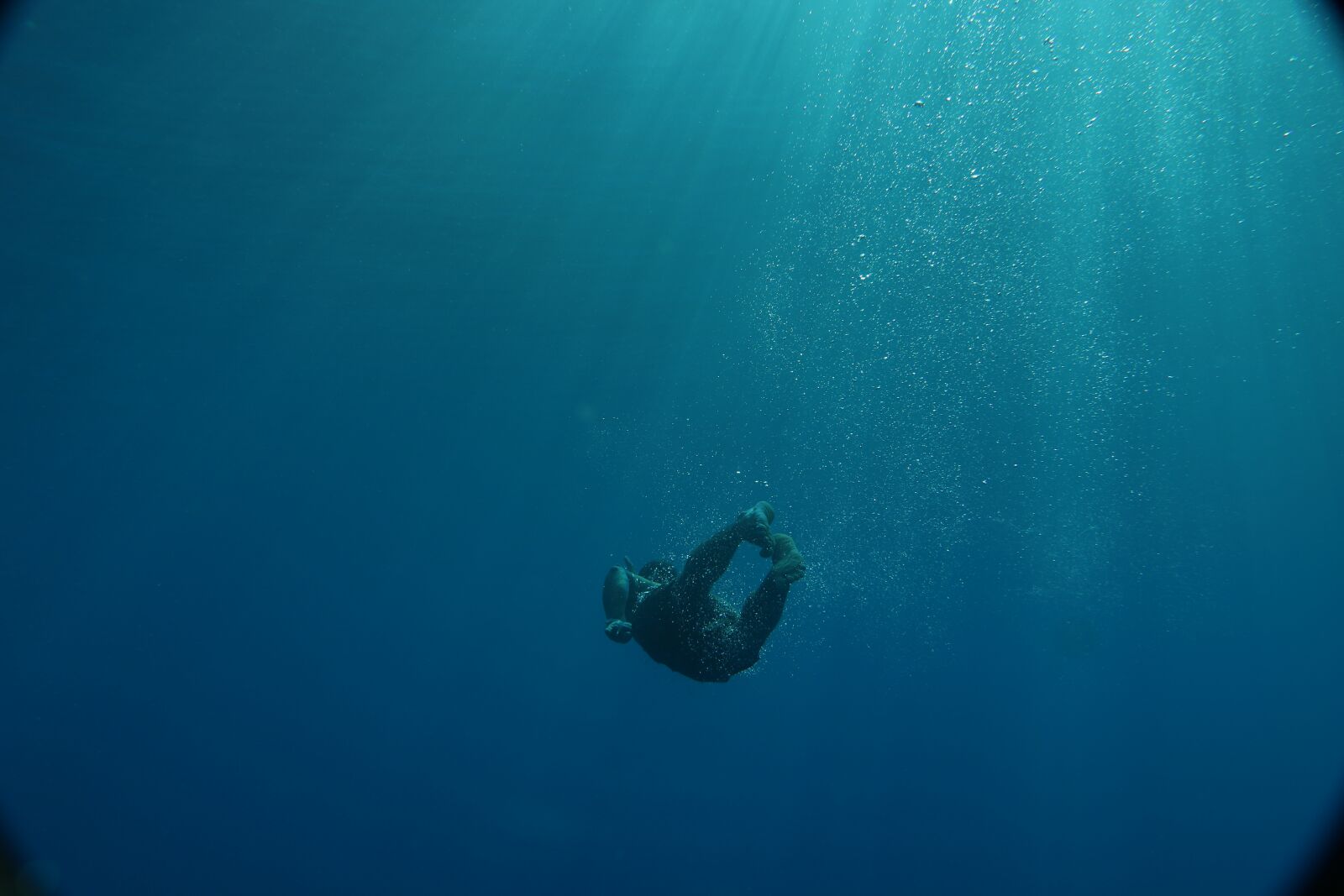 Canon EOS 750D (EOS Rebel T6i / EOS Kiss X8i) sample photo. Underwater, sea, water photography