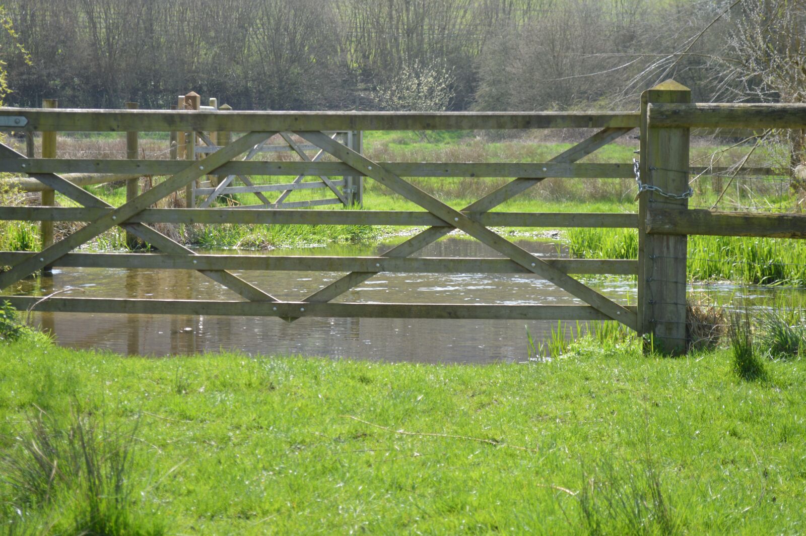 Nikon D3200 sample photo. Fence, grass, nature photography