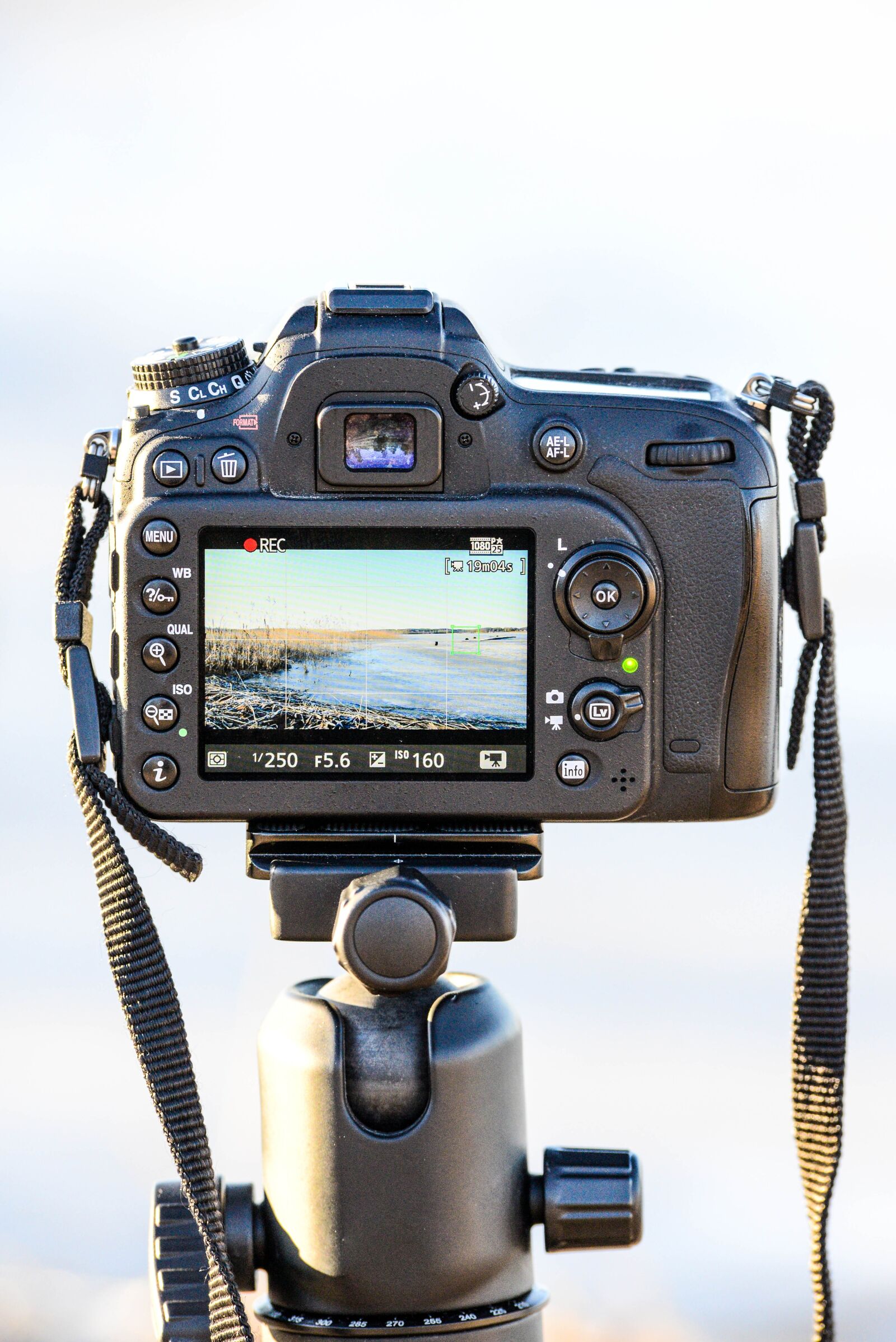 Nikon D600 sample photo. Camera, slr, dslr photography