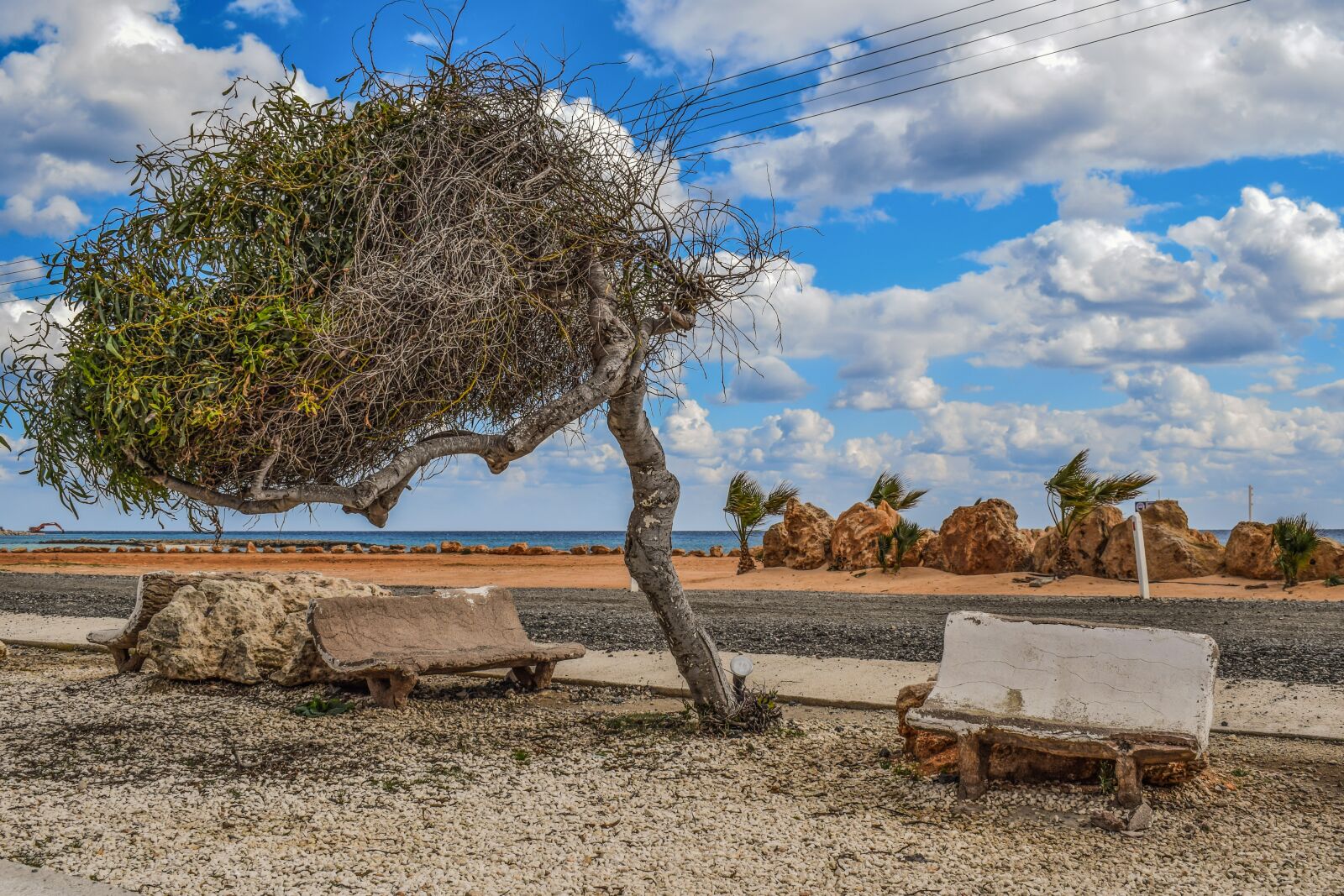 Nikon D3300 sample photo. Tree, bench, improvised photography