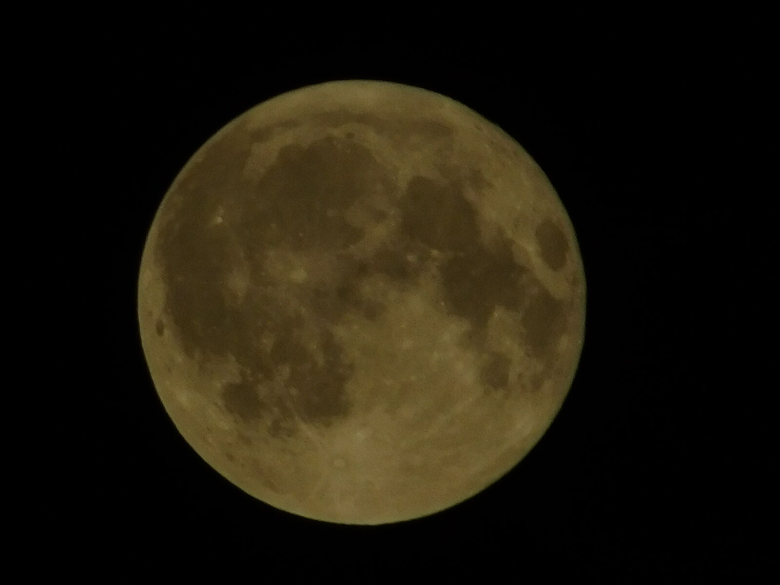 Nikon Coolpix L840 sample photo